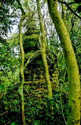 Ban Chiang Khaeng, a pagoda in the djungle